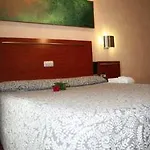 Montree 3* München
